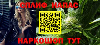 стафф Будённовск